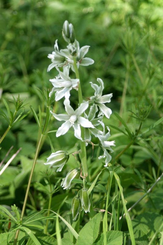 Killikus&reg; Fotographie